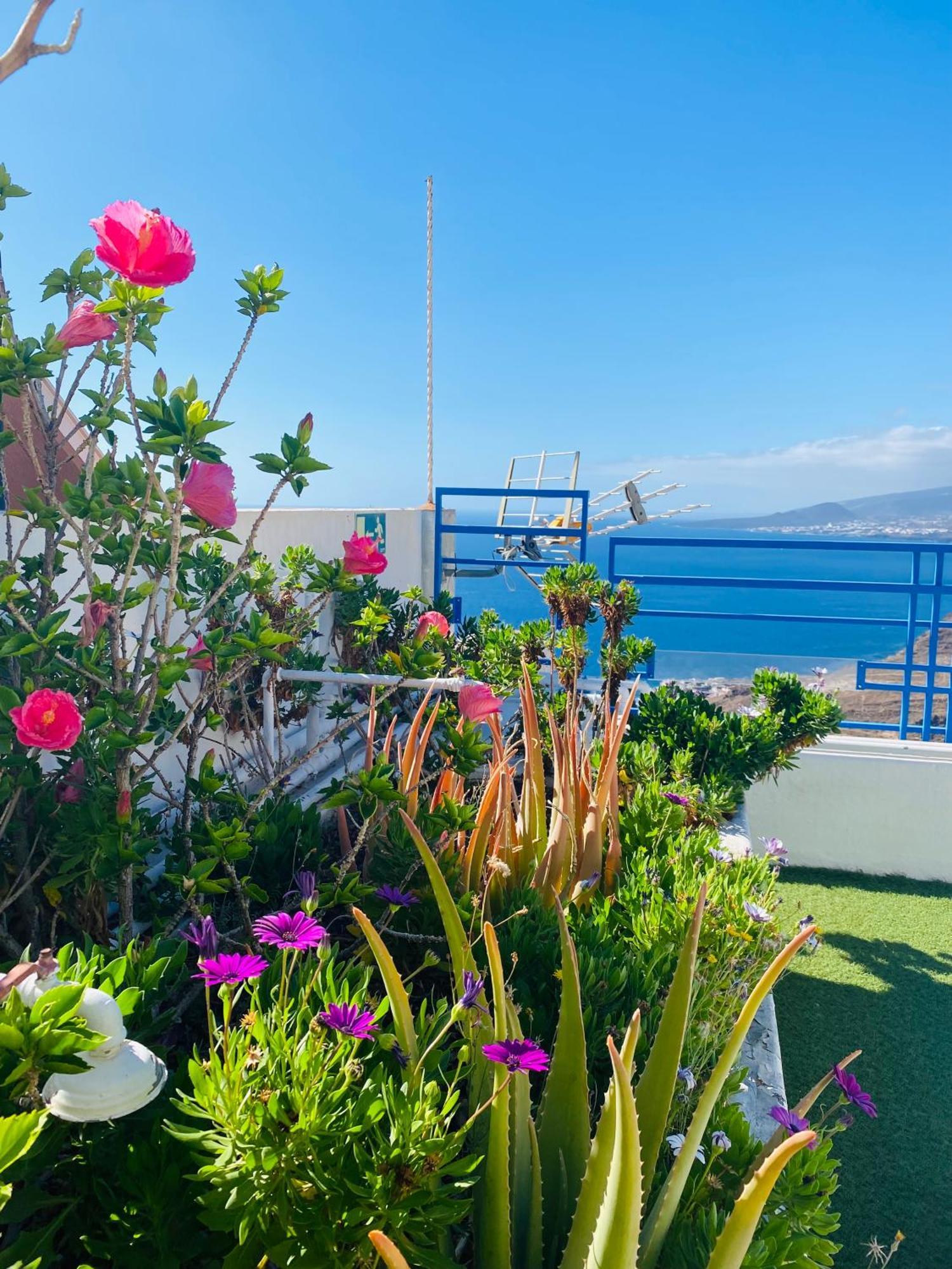 Apartamento Atlantico Santa Cruz de Tenerife Exterior photo